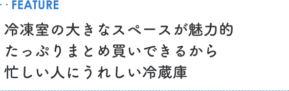 ..FEATURE 冷凍室の大きなスペースが魅力的たっぷりまとめ買いできるから忙しい人にうれしい冷蔵庫